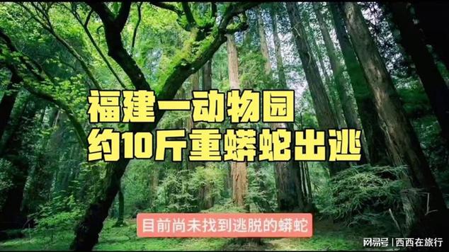 蟒蛇分布地区「福建出逃蟒蛇未找到的地方」 玻璃规格